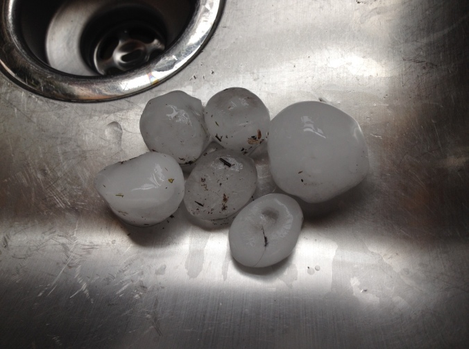Collection of hailstones from May 11, 2014.